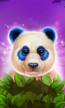 Luck of Panda: Bonus Combo